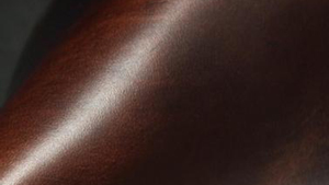 皮革變色蠟助劑